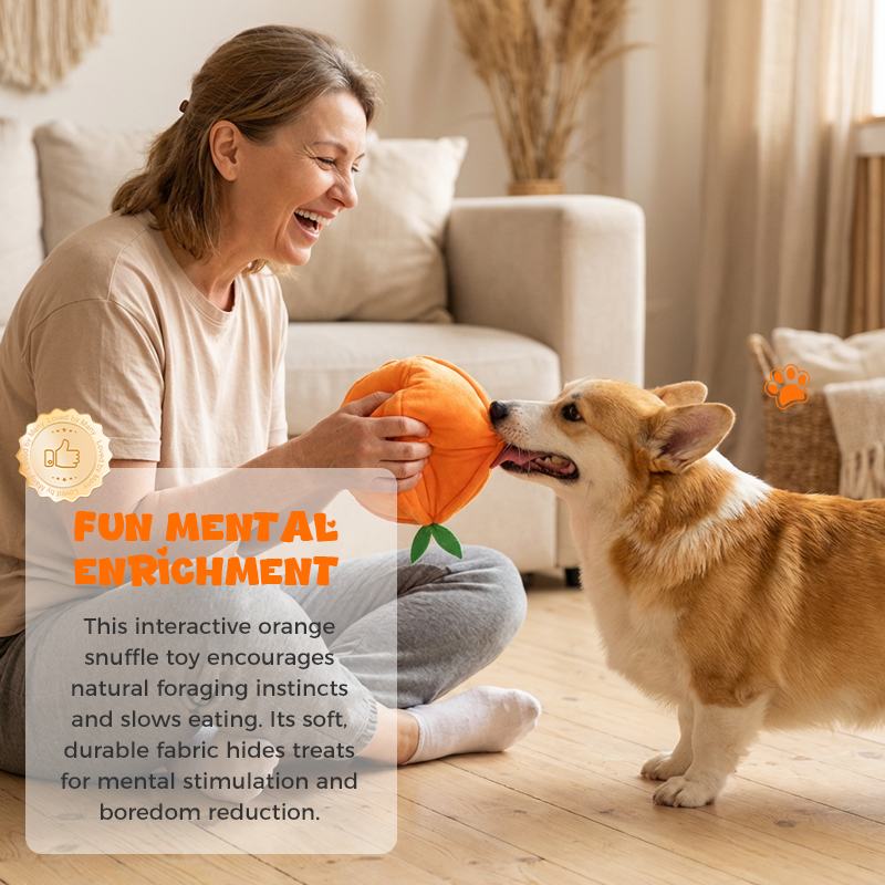 Foldable Snuffle Puzzle – Plush Dog Toy with Treat Storage