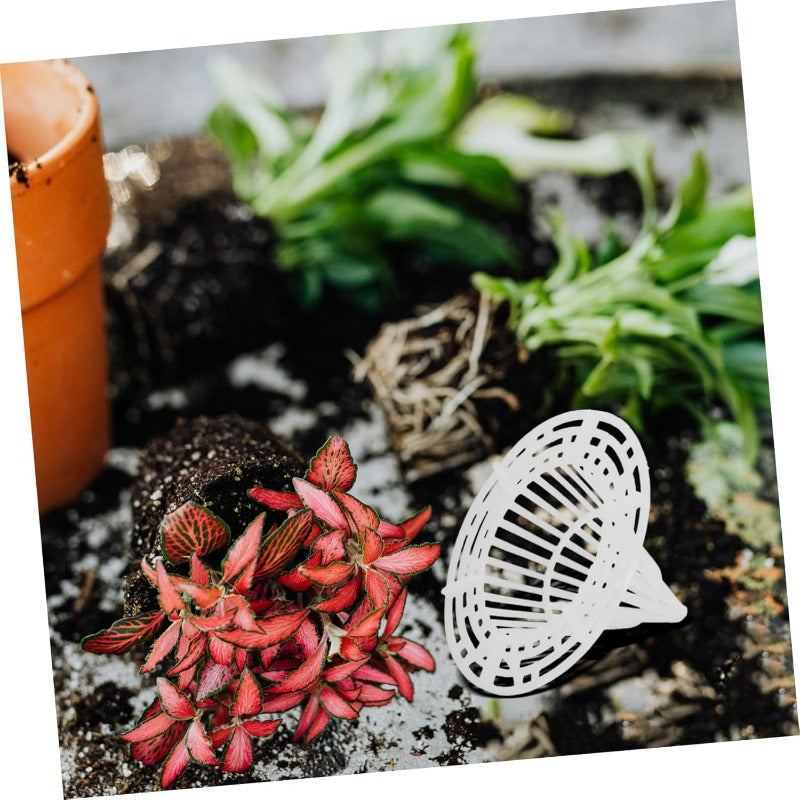Healthy Roots Plant Baskets – Breathable Design