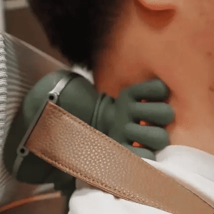 Neck and Back Massager with Shiatsu Kneading and Heat Therapy