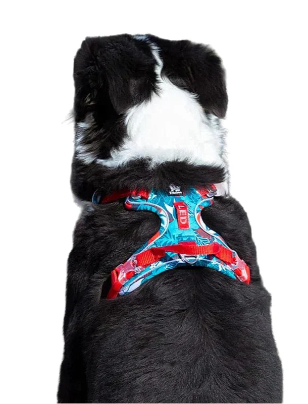 Adjustable Dog Harness Made with Breathable Material