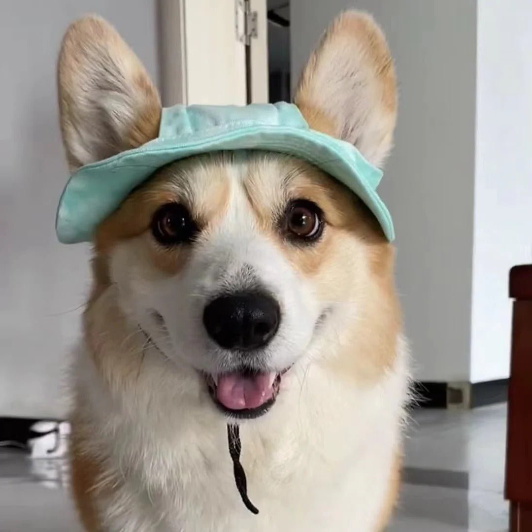 Adjustable Strap Dog Sun Hat with Wide Brim