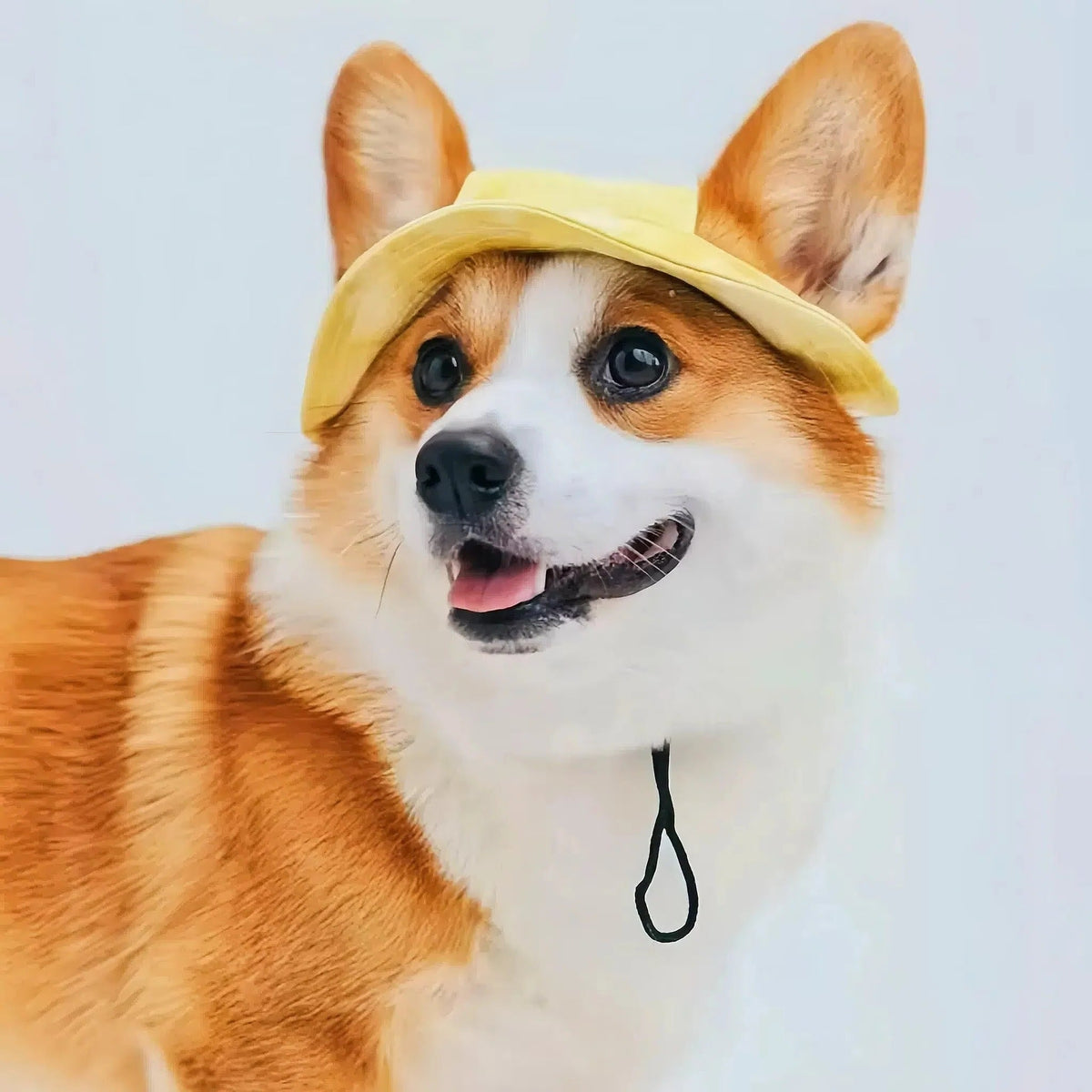 Adjustable Strap Dog Sun Hat with Wide Brim