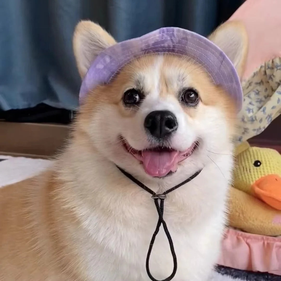 Adjustable Strap Dog Sun Hat with Wide Brim