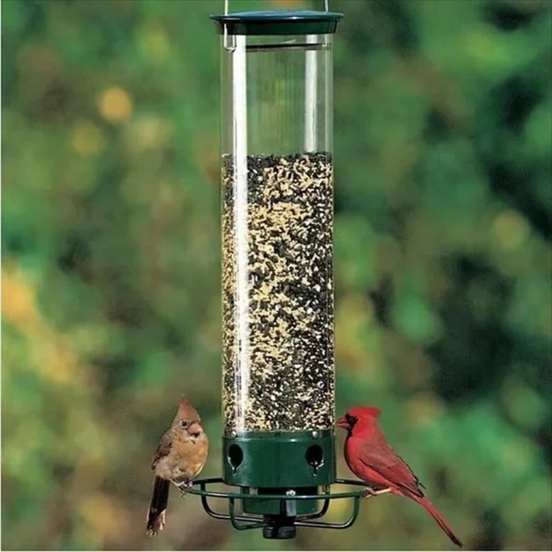 Metal Bird Feeder with Window Attachment and Adjustable Perch Design