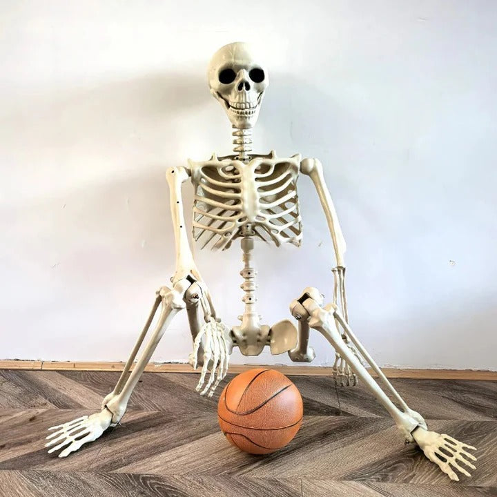 Posable Arms and Legs Full Body Skeleton Decoration for Halloween