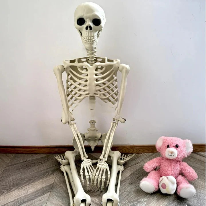 Posable Arms and Legs Full Body Skeleton Decoration for Halloween