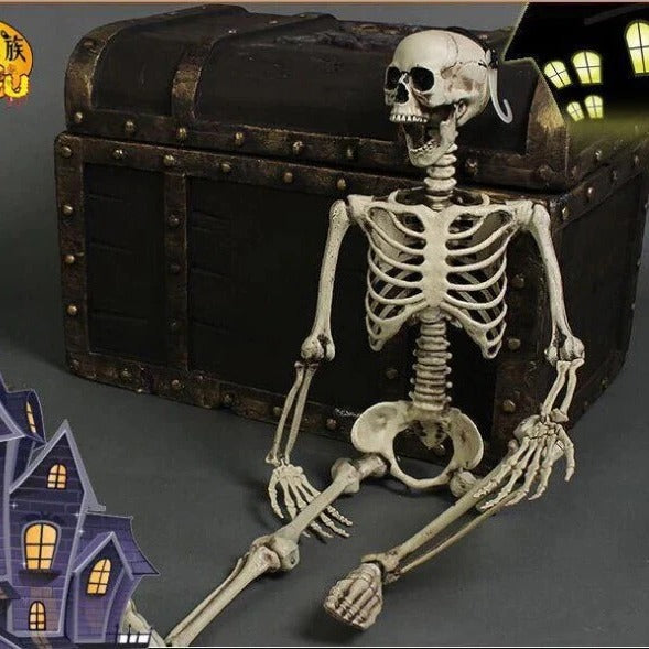 Posable Arms and Legs Full Body Skeleton Decoration for Halloween