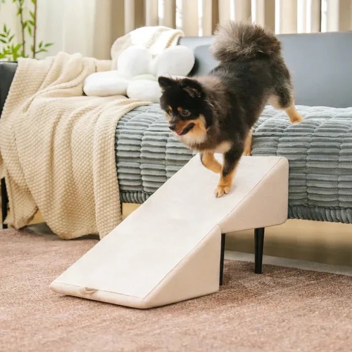 Dog Ramp with Foldable Steps for Easy Pet Access
