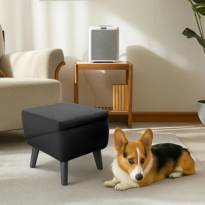 Dog Ramp with Foldable Steps for Easy Pet Access