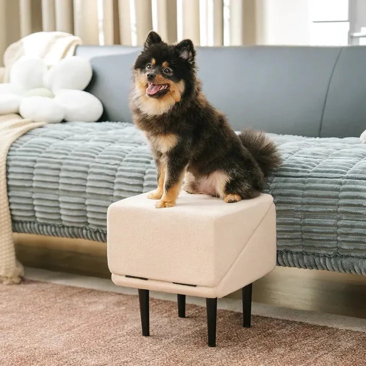 Dog Ramp with Foldable Steps for Easy Pet Access