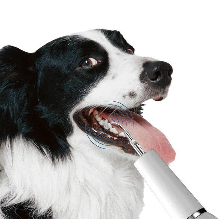 Gentle Oral Cleaner for Dogs – Ultrasonic Dental Tool for Pets