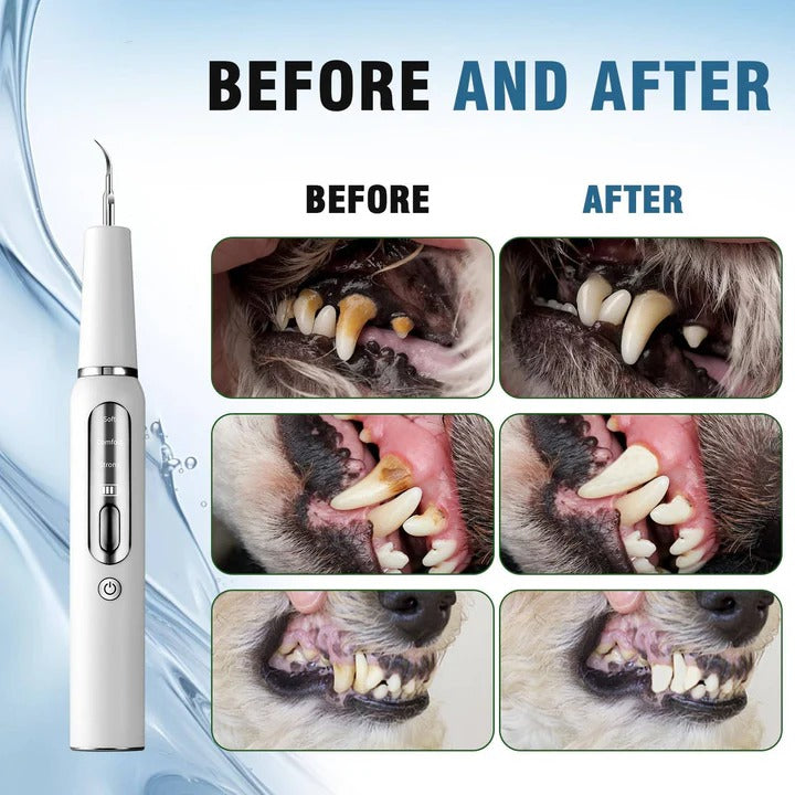 Gentle Oral Cleaner for Dogs – Ultrasonic Dental Tool for Pets