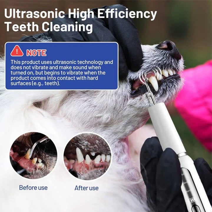 Gentle Oral Cleaner for Dogs – Ultrasonic Dental Tool for Pets