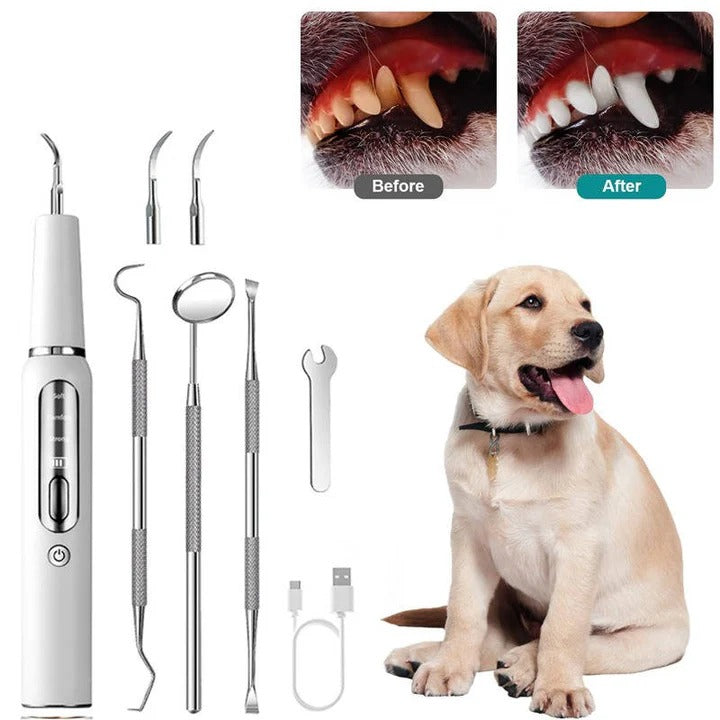 Gentle Oral Cleaner for Dogs – Ultrasonic Dental Tool for Pets