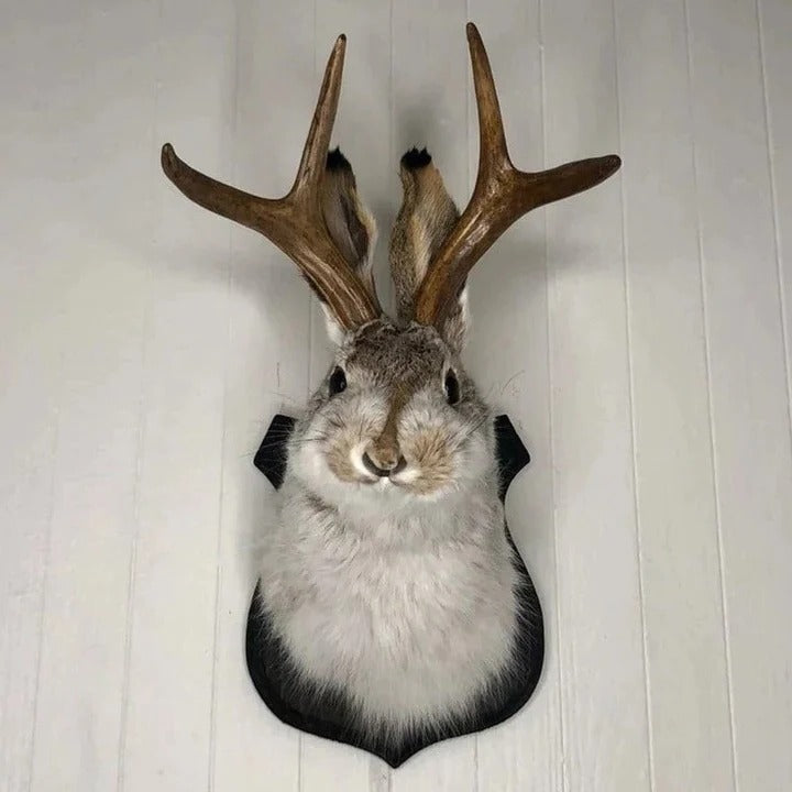 Jackalope Wall Art Sculpture for Interior Decoration