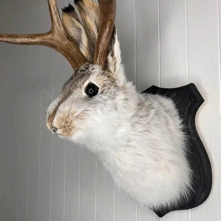 Jackalope Wall Art Sculpture for Interior Decoration