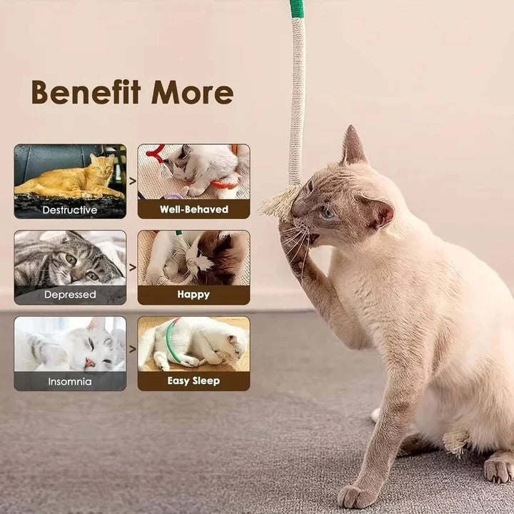 3-Pack Cat Chew Toys with Silvervine Balls and Rope