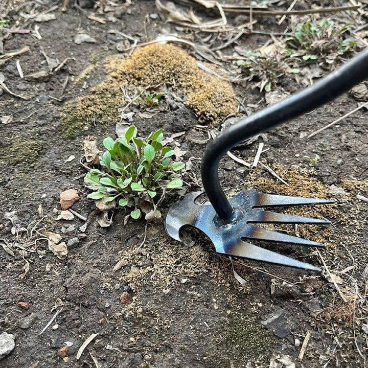 Lawn Care Hand Tool for Weeding with Four Steel Teeth