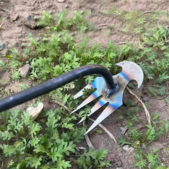 Lawn Care Hand Tool for Weeding with Four Steel Teeth
