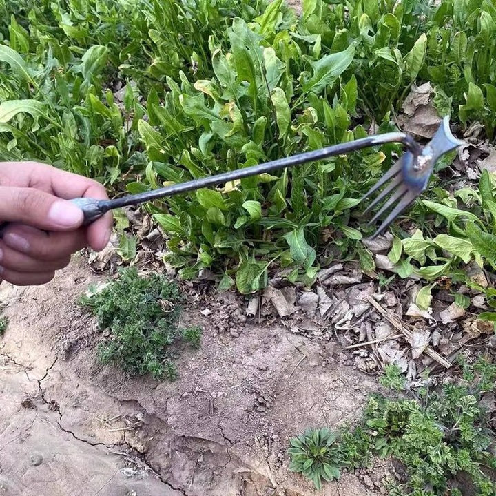 Lawn Care Hand Tool for Weeding with Four Steel Teeth