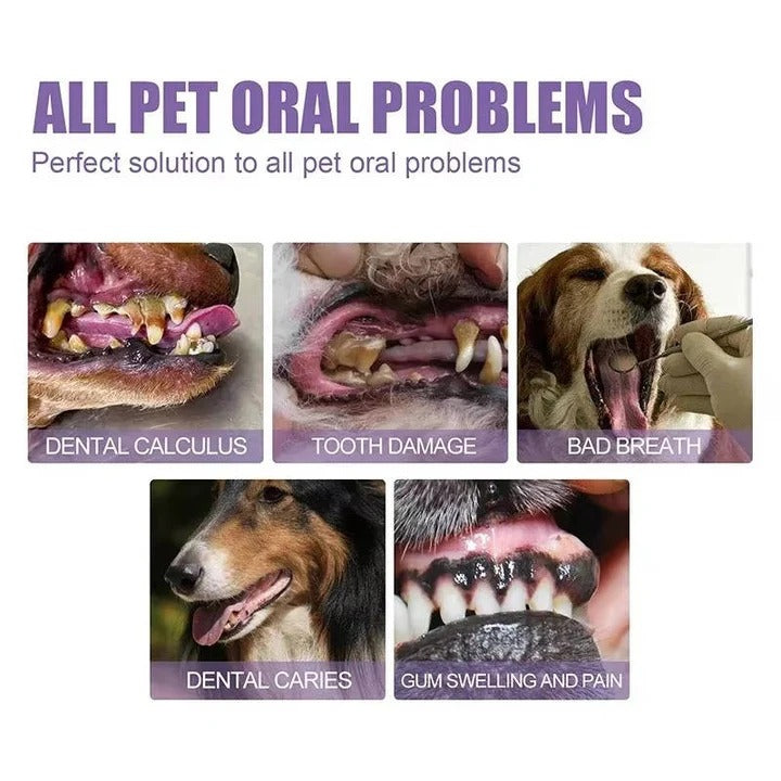 Set of 3 Oral Gels for Dog Teeth and Gum Health