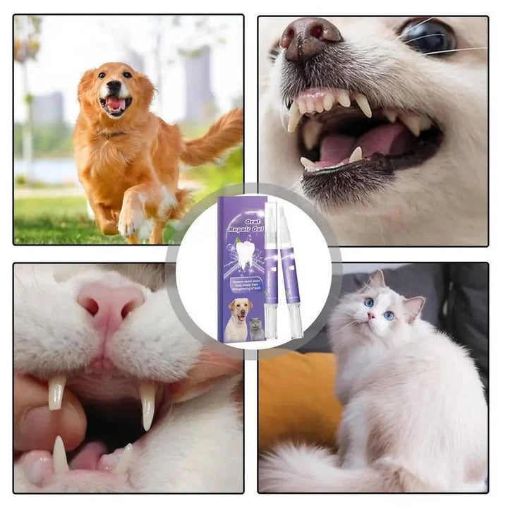 Set of 3 Oral Gels for Dog Teeth and Gum Health