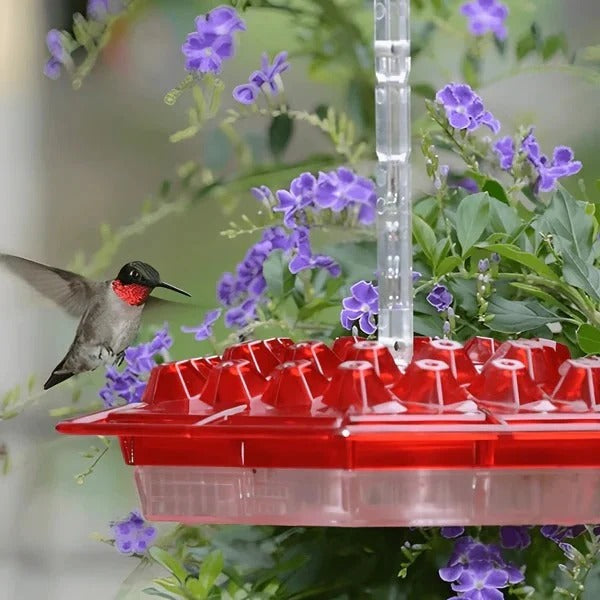 Ant Moat Design Hummingbird Feeder for Hanging Use