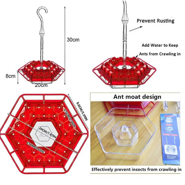 Ant Moat Design Hummingbird Feeder for Hanging Use