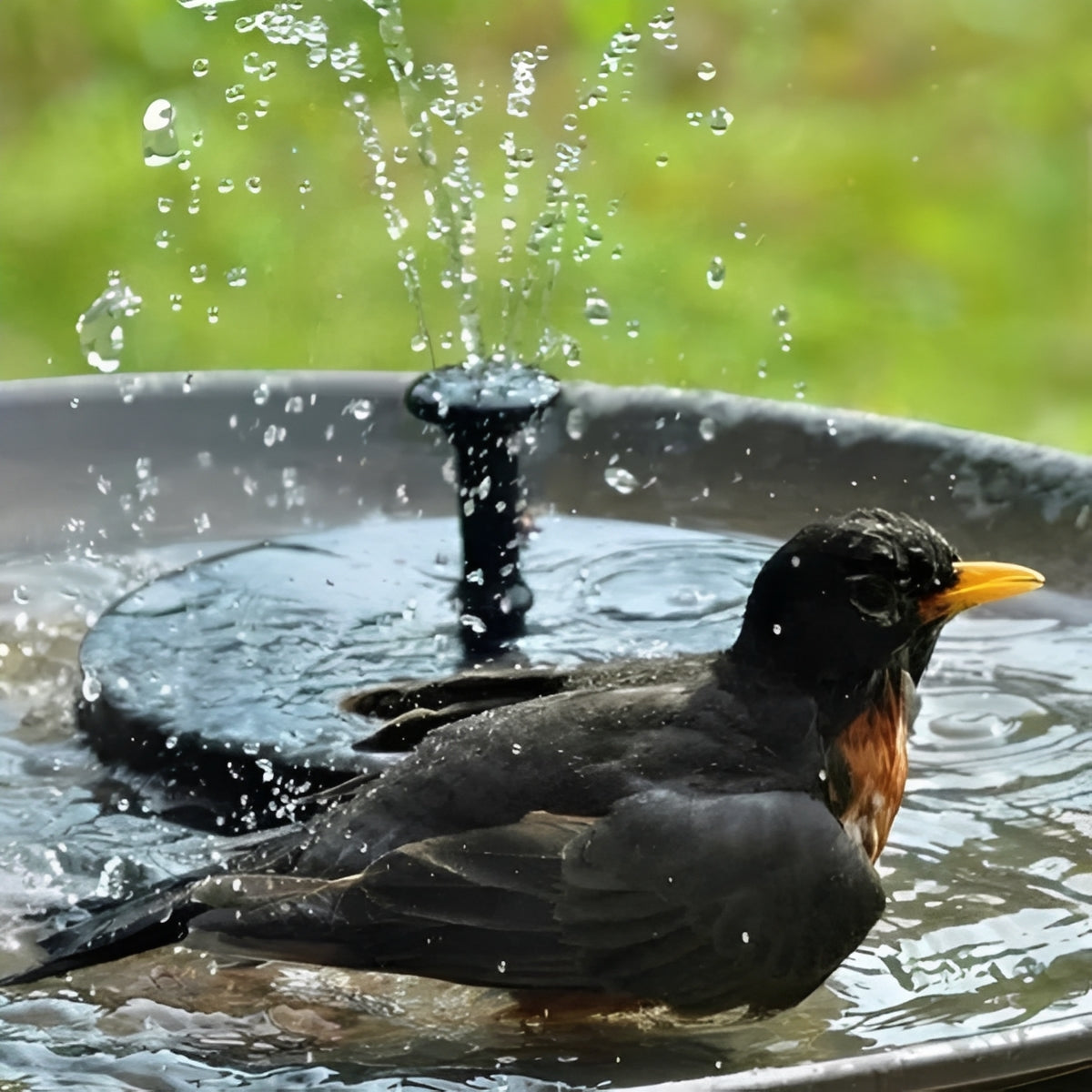 Solar-Powered Floating Fountain for Bird Baths and Ponds