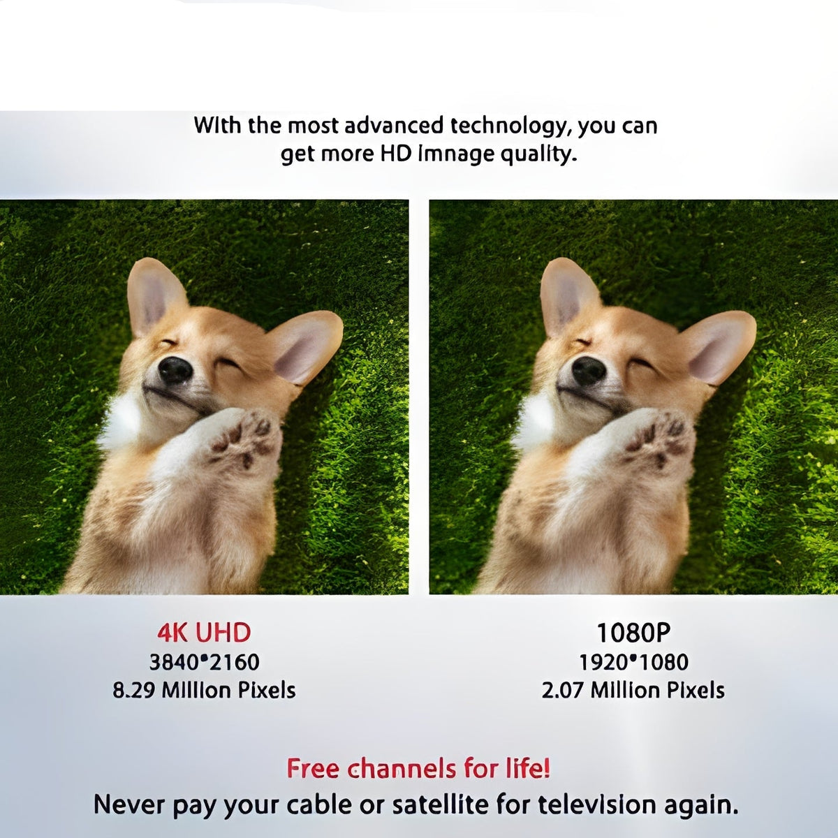 VHF and UHF Compatible Digital TV Antenna