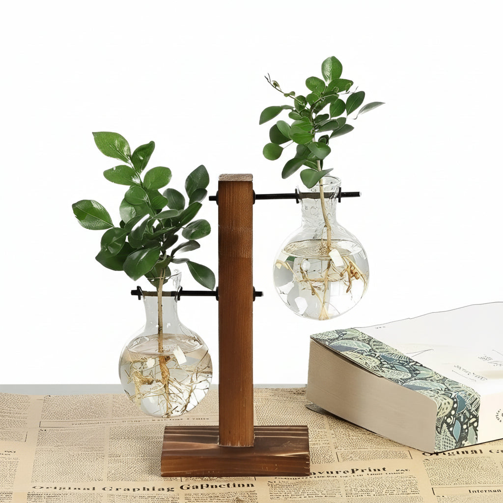Glass Hydroponic Planter with Wooden Base