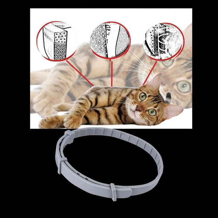 Pet Collar for Flea and Tick Prevention
