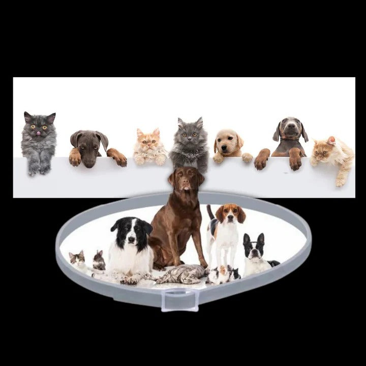 Pet Collar for Flea and Tick Prevention