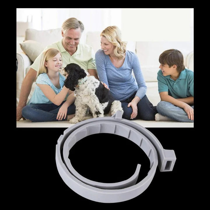 Pet Collar for Flea and Tick Prevention