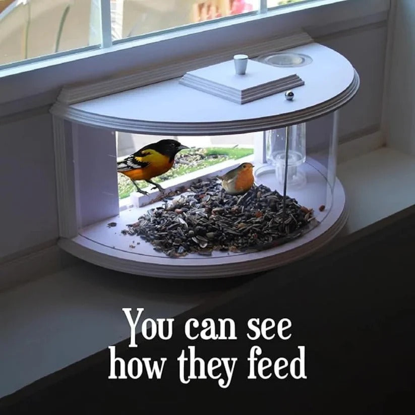 Acrylic Bird Feeder for Windows – Suction Cup Mounted Design