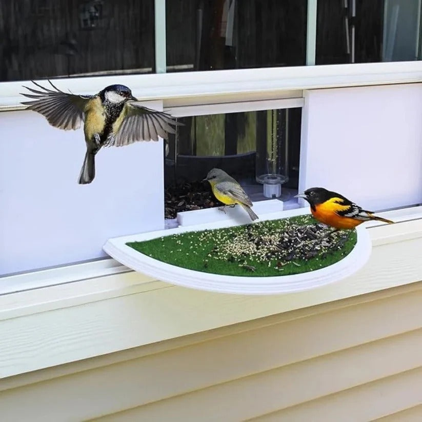 Acrylic Bird Feeder for Windows – Suction Cup Mounted Design