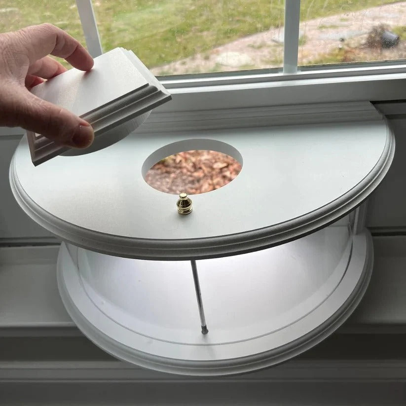 Acrylic Bird Feeder for Windows – Suction Cup Mounted Design