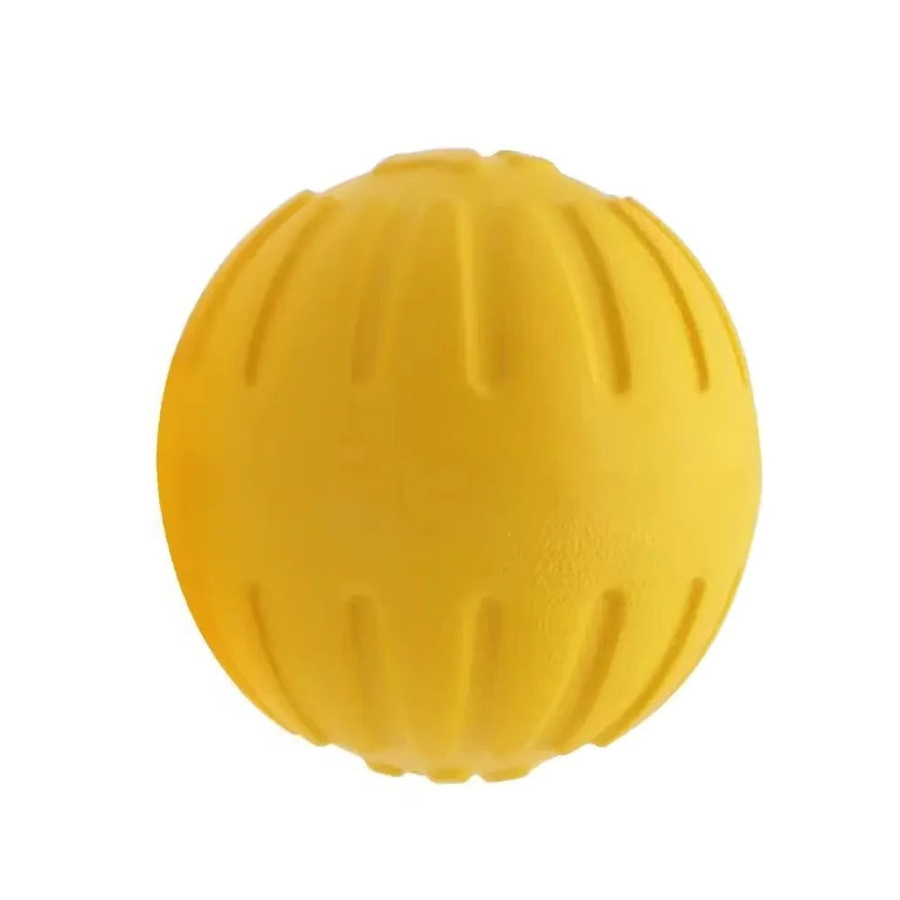 Outdoor Fetch and Play Chew Ring with Sturdy Dog Training Ball