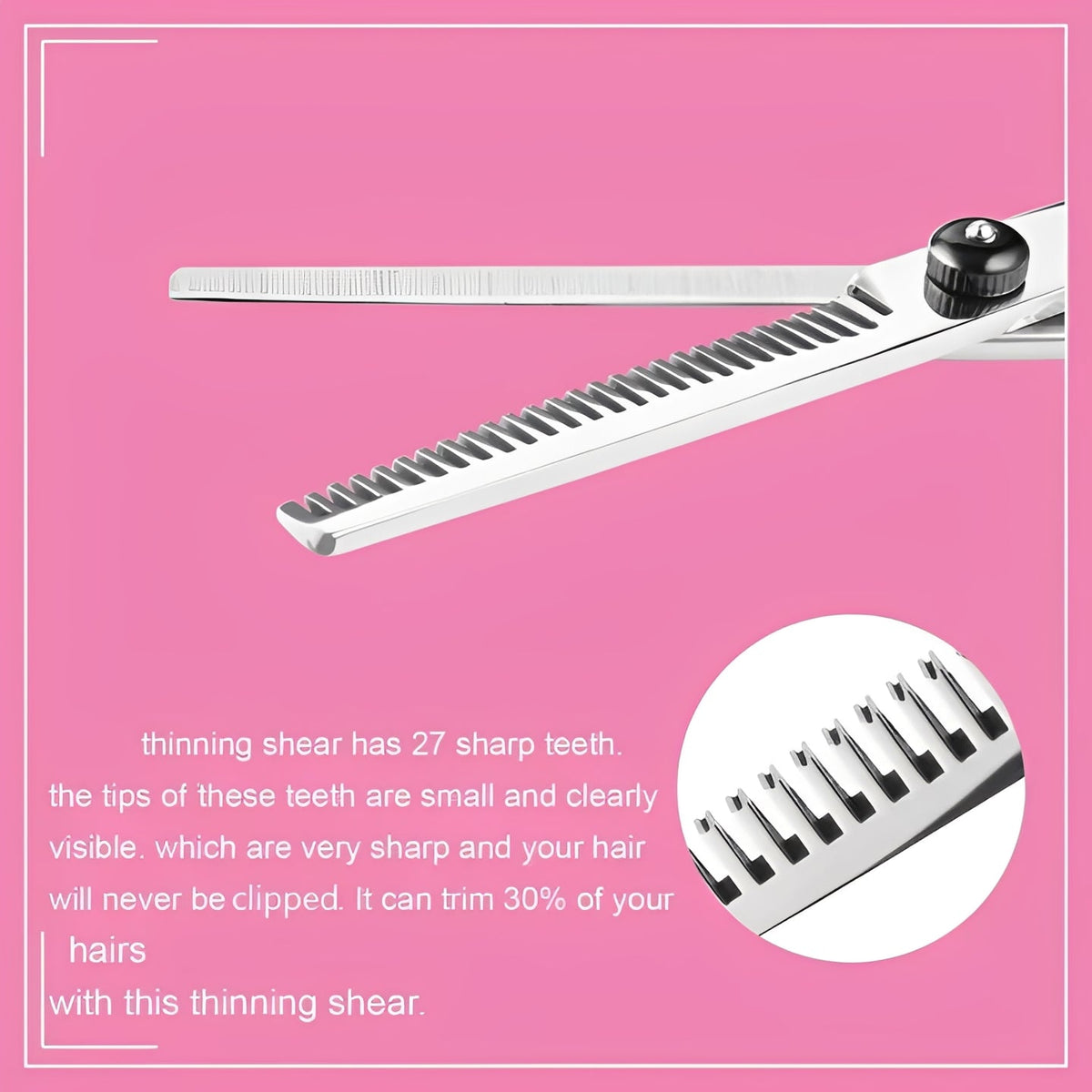 Set of Hair Shears and Thinning Scissors with Combs and Clips