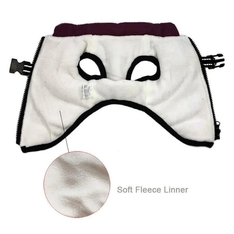 Outdoor Waterproof Dog Jacket with Built-in Harness for Winter