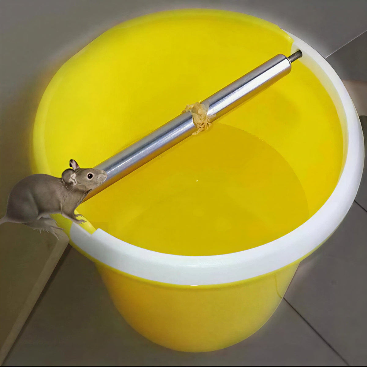 Mouse Trap for Bucket Use – Stainless Steel Rolling Log Design