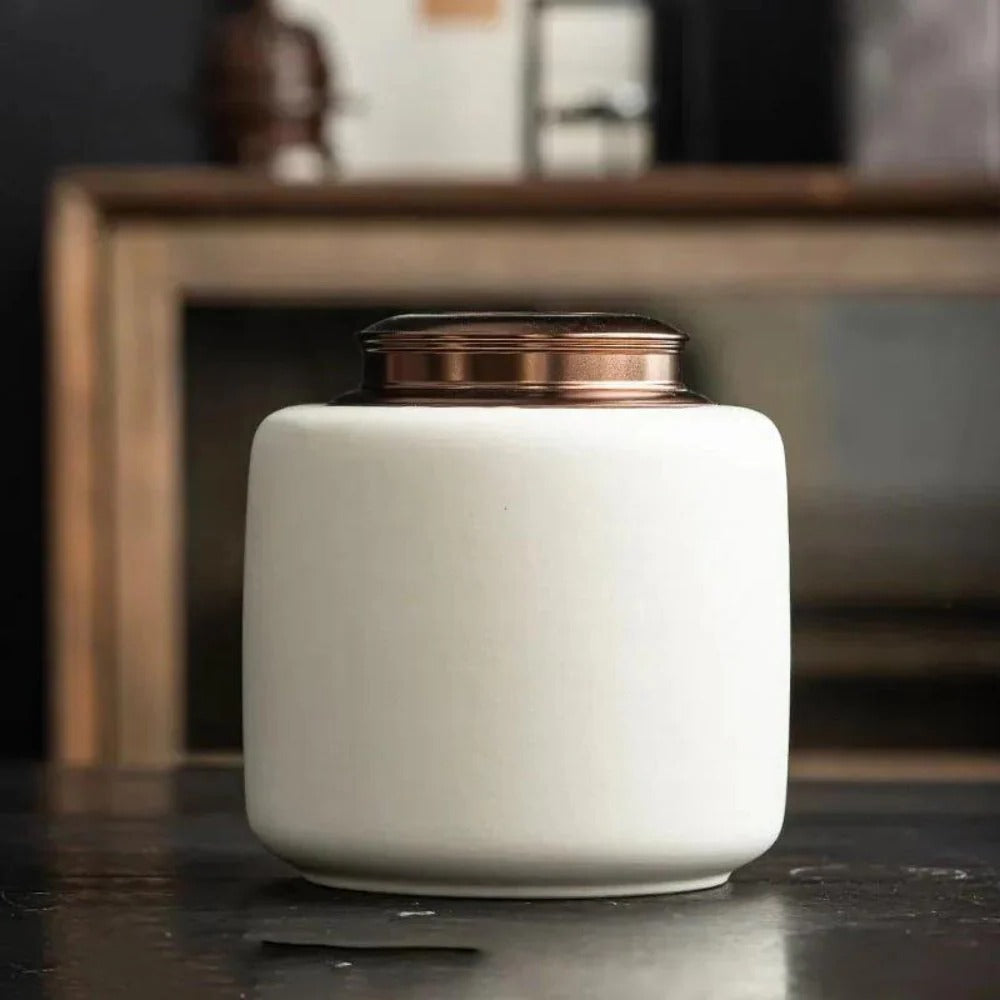 Secure Lid Ceramic Urn for Pet Ashes - Memorial Keepsake