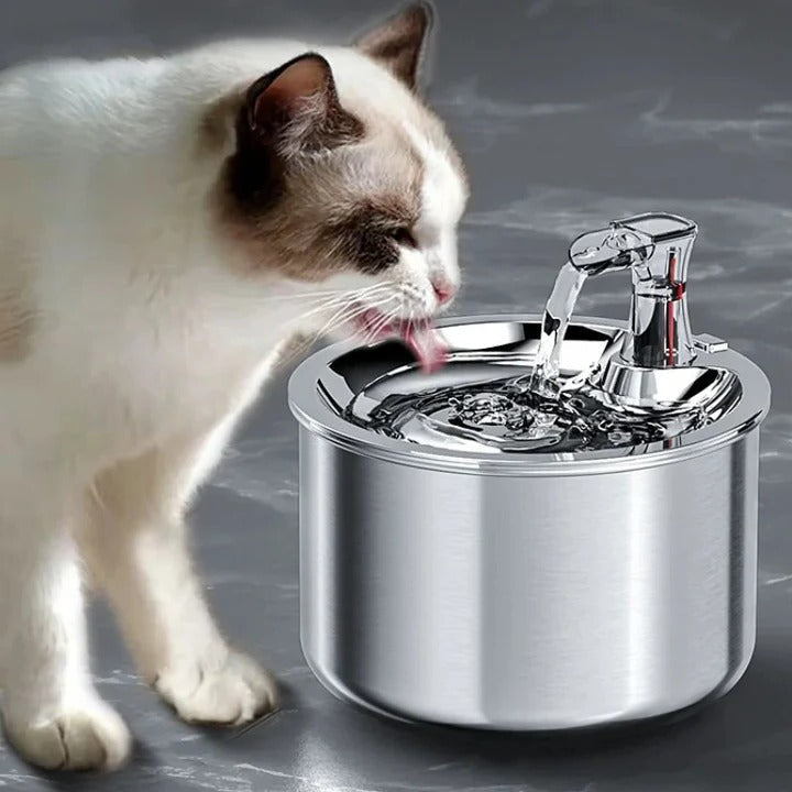Motion Sensor Cat Water Fountain with Filtration System