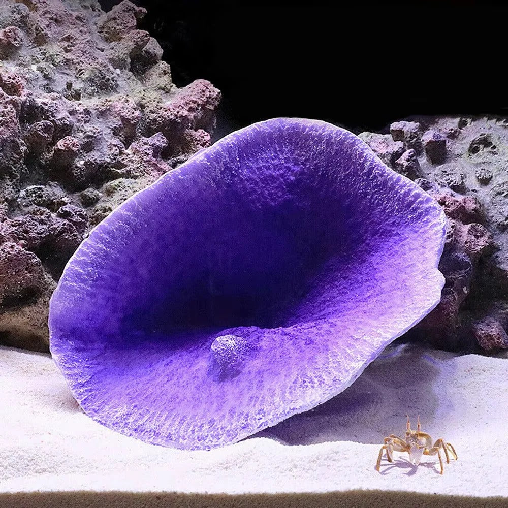 Resin Crafted Coral Reef Aquarium Decoration