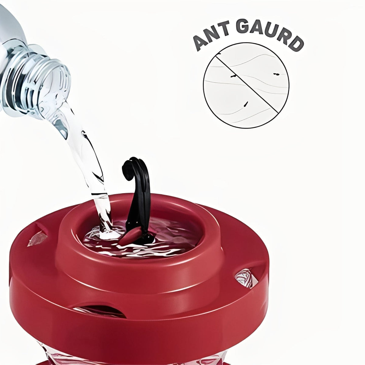 Red Hanging Water Feeder with Perches and Ant Barrier