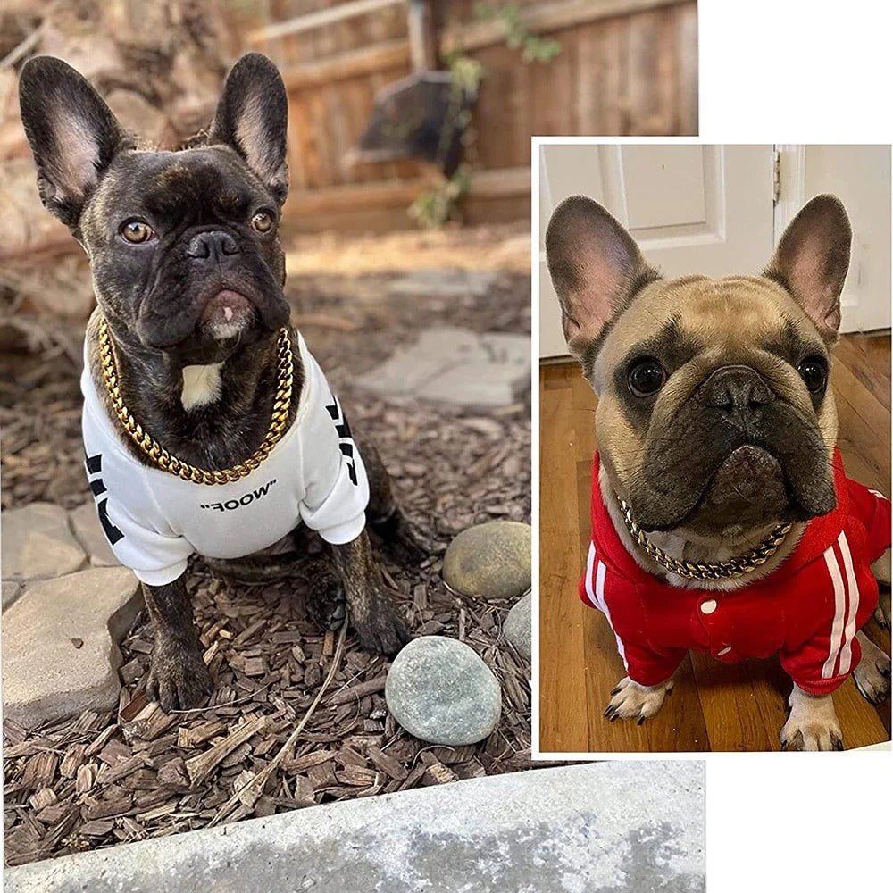 Dog Collar in Stainless Steel Chain Design – Available in Various Colors