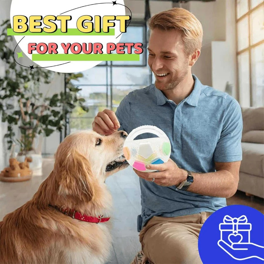 Durable Rubber Chew Toy Shaped Like a Football in Bottle Style