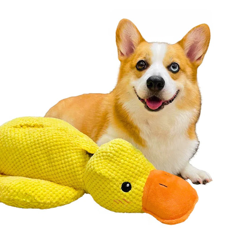 Chew Toy for Dogs and Pets - Durable Squeaky Duck Design