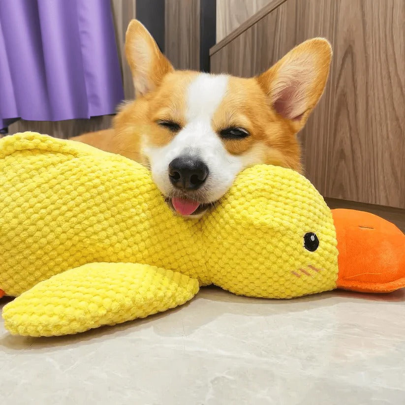 Chew Toy for Dogs and Pets - Durable Squeaky Duck Design