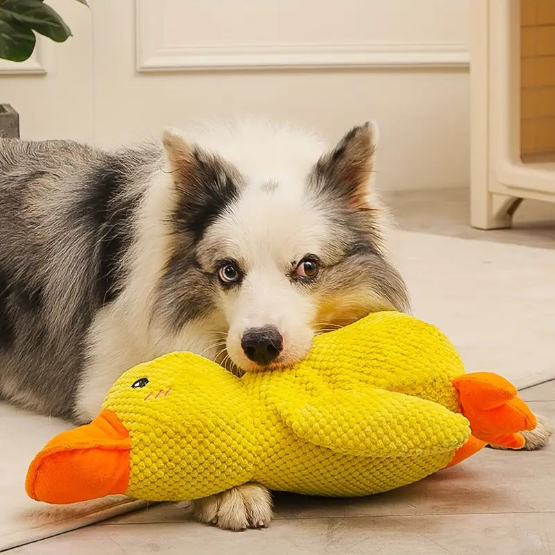 Chew Toy for Dogs and Pets - Durable Squeaky Duck Design
